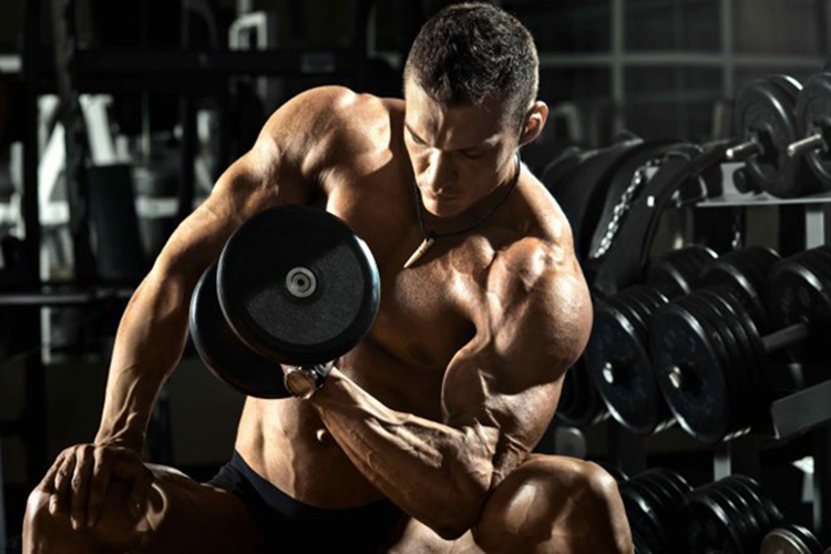 Trenbolone Enanthate Review: Benefits, Half life, Cycles, Uses, Recipe, Side Effects