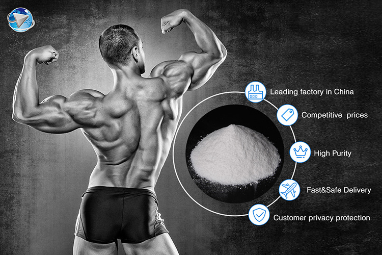 Testosterone Cypionate VS Testosterone Enanthate?