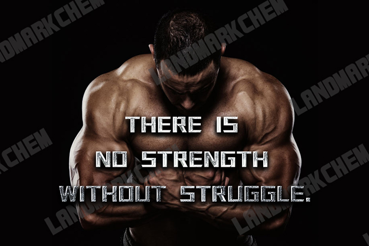 Know Nothing About Testosterone? What A Man!