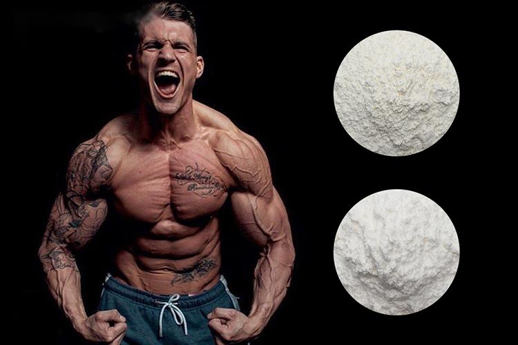 Introduction to the four safest steroids