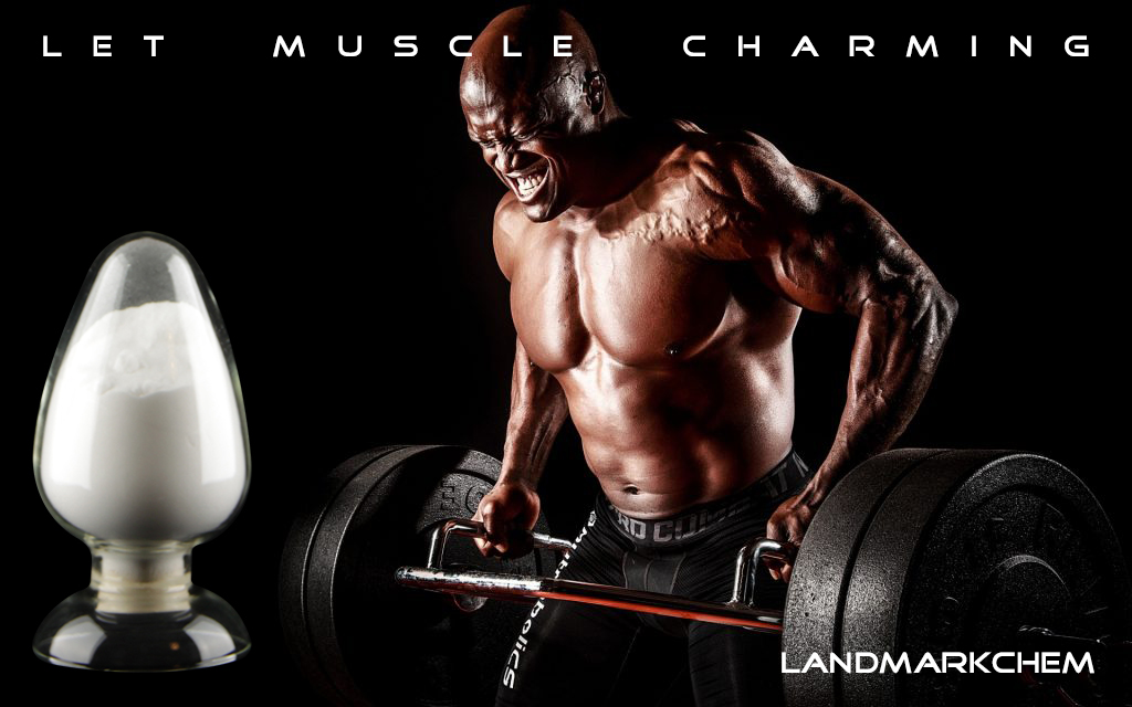 Landmark Nutraceuticals Co., Limited