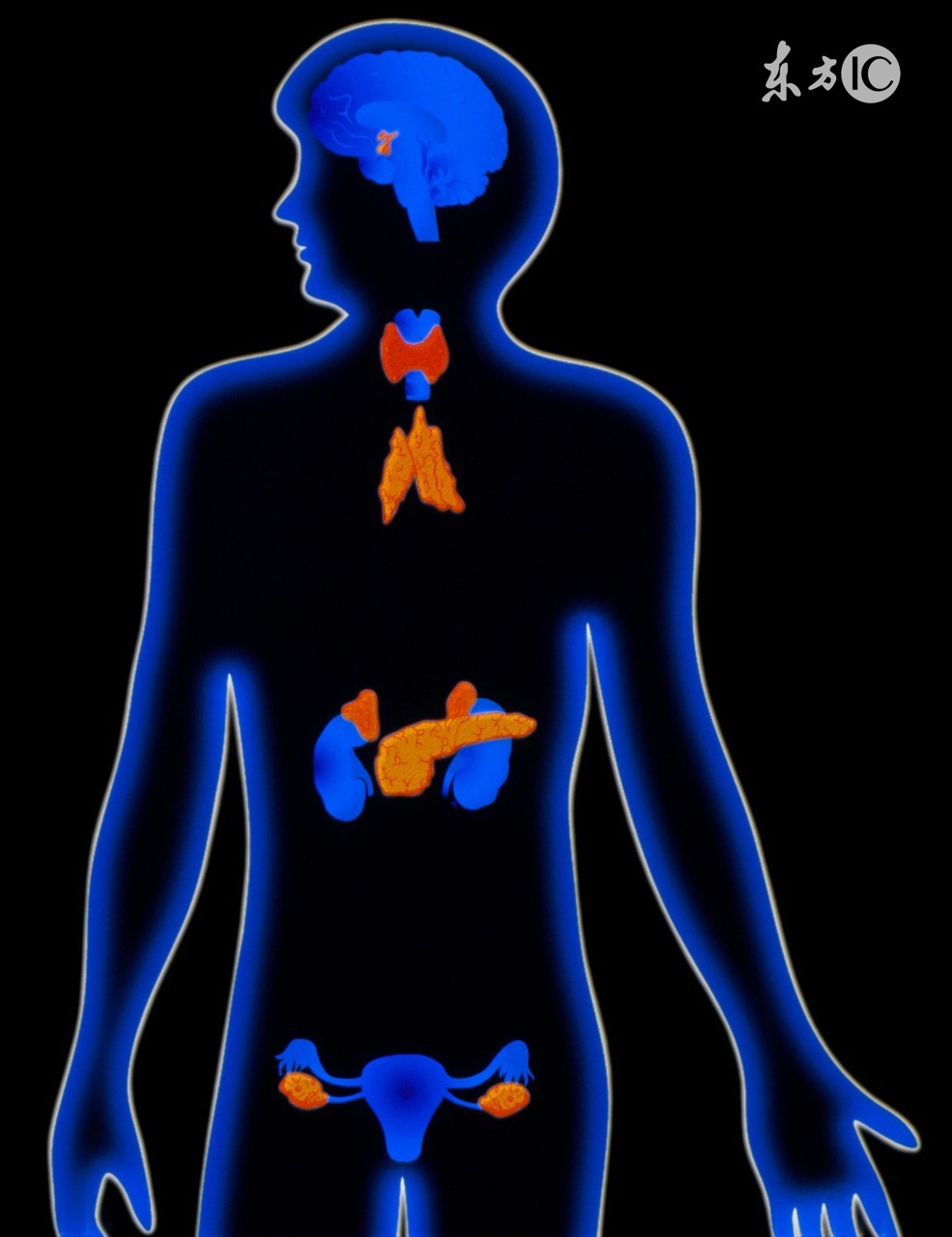 微信图片_20211006141458