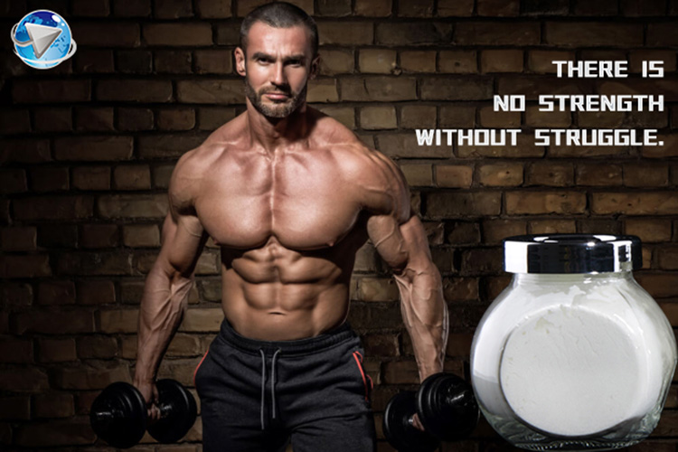 Choosing the Right Anabolic Steroids for Your Needs